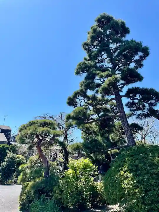 貞源寺の{uncategorized: "未分類", other: "その他", undefined: "問題あり", building: "その他建物", grave: "お墓", sacred_gate: "鳥居", guardian: "狛犬", statue: "像", buddha: "仏像", history: "歴史", nature: "自然", garden: "庭園", animal: "動物", pagoda: "塔", temizu: "手水舎", mountain_gate: "山門・神門", sanctuary: "本殿・本堂", subordinate: "末社・摂社", art: "芸術", scenery: "景色", jizo: "地蔵", ema: "絵馬", goshuin: "御朱印", omikuji: "おみくじ", items: "授与品その他", amulet: "お守り", goshuincho: "御朱印帳", eats: "食事", festival: "お祭り", votive_dance: "神楽", shichigosan: "七五三参", wedding: "結婚式", experience: "体験その他", initially: "初詣", around: "周辺", anti_infection: "感染症対策"}