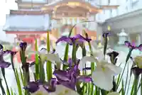 水天宮(東京都)