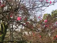 白雲神社の自然