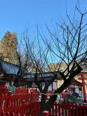 金櫻神社(山梨県)