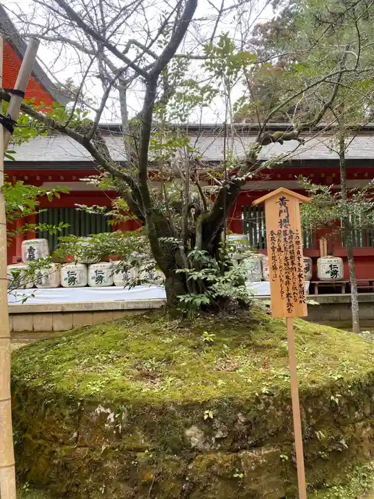 香取神宮(千葉県)