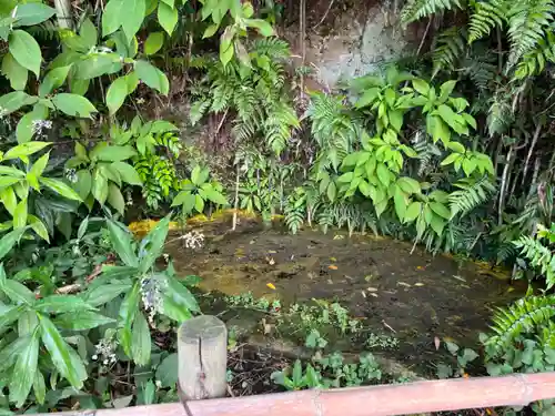 白笹稲荷神社の自然