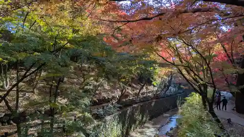 北野天満宮(京都府)