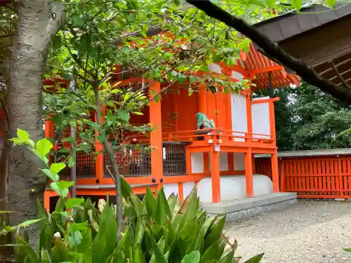 許波多神社（五ケ庄鎮座）の本殿・本堂