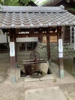 白金龍王社の手水舎