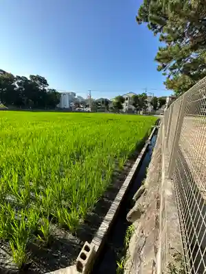 住吉大社(大阪府)