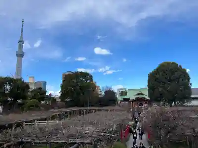 亀戸天神社(東京都)