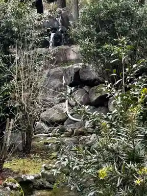 阿蘇白水龍神權現～白蛇神社～(熊本県)