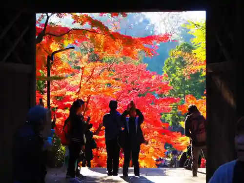 円覚寺の景色