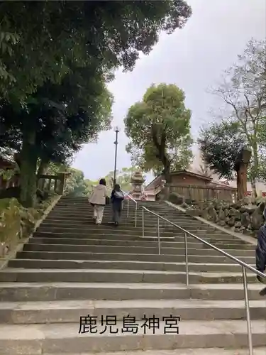 鹿児島神宮(鹿児島県)