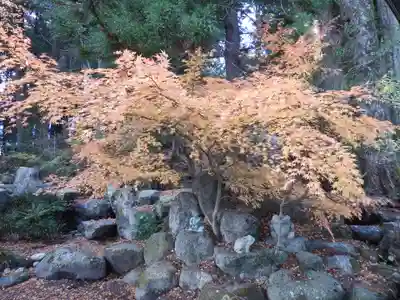 大宮五十鈴神社(長野県)