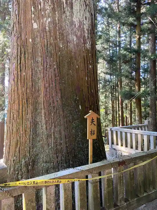恵那神社の自然