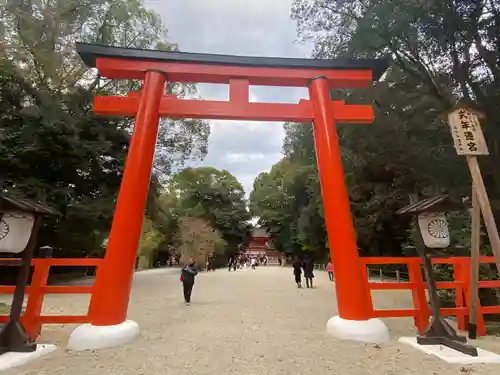 賀茂御祖神社（下鴨神社）の鳥居