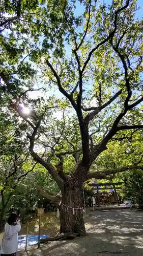 相馬神社の自然