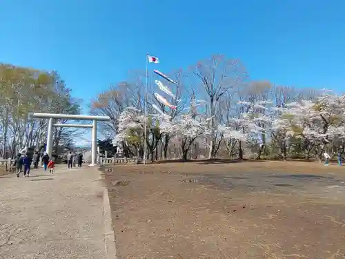 岩内神社(北海道)
