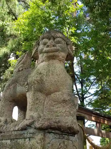 多太神社の狛犬