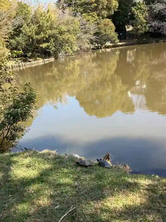 菊田神社の{uncategorized: "未分類", other: "その他", undefined: "問題あり", building: "その他建物", grave: "お墓", sacred_gate: "鳥居", guardian: "狛犬", statue: "像", buddha: "仏像", history: "歴史", nature: "自然", garden: "庭園", animal: "動物", pagoda: "塔", temizu: "手水舎", mountain_gate: "山門・神門", sanctuary: "本殿・本堂", subordinate: "末社・摂社", art: "芸術", scenery: "景色", jizo: "地蔵", ema: "絵馬", goshuin: "御朱印", omikuji: "おみくじ", items: "授与品その他", amulet: "お守り", goshuincho: "御朱印帳", eats: "食事", festival: "お祭り", votive_dance: "神楽", shichigosan: "七五三参", wedding: "結婚式", experience: "体験その他", initially: "初詣", around: "周辺", anti_infection: "感染症対策"}