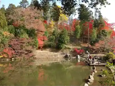 八幡神社(兵庫県)