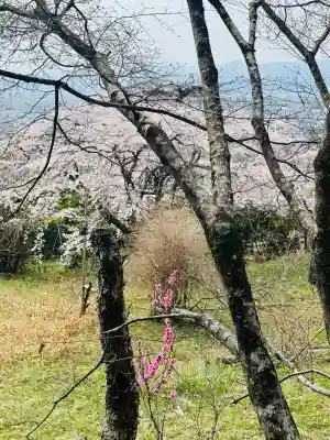 地蔵院の{uncategorized: "未分類", other: "その他", undefined: "問題あり", building: "その他建物", grave: "お墓", sacred_gate: "鳥居", guardian: "狛犬", statue: "像", buddha: "仏像", history: "歴史", nature: "自然", garden: "庭園", animal: "動物", pagoda: "塔", temizu: "手水舎", mountain_gate: "山門・神門", sanctuary: "本殿・本堂", subordinate: "末社・摂社", art: "芸術", scenery: "景色", jizo: "地蔵", ema: "絵馬", goshuin: "御朱印", omikuji: "おみくじ", items: "授与品その他", amulet: "お守り", goshuincho: "御朱印帳", eats: "食事", festival: "お祭り", votive_dance: "神楽", shichigosan: "七五三参", wedding: "結婚式", experience: "体験その他", initially: "初詣", around: "周辺", anti_infection: "感染症対策"}