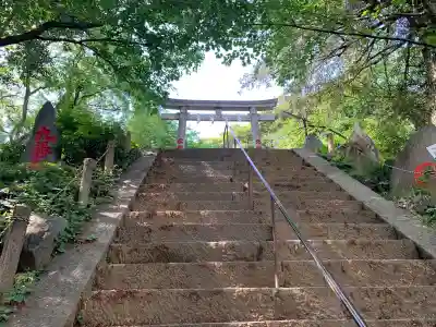 駒込富士神社の鳥居