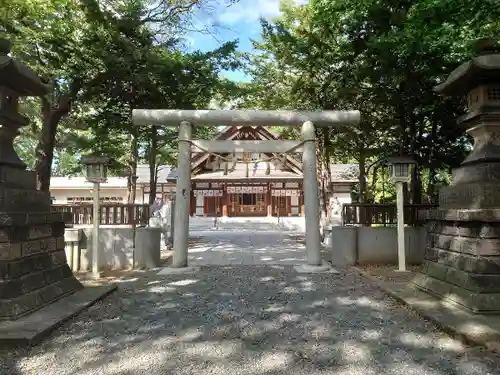 新琴似神社の鳥居