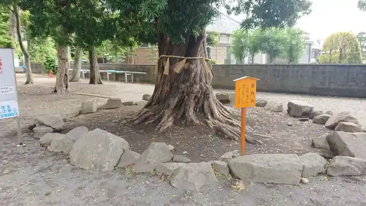 三島神社(今沢)(静岡県)