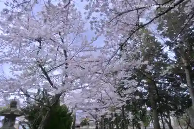 冨士御室浅間神社(山梨県)