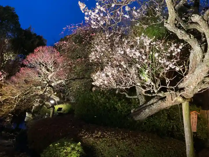 長谷寺の{uncategorized: "未分類", other: "その他", undefined: "問題あり", building: "その他建物", grave: "お墓", sacred_gate: "鳥居", guardian: "狛犬", statue: "像", buddha: "仏像", history: "歴史", nature: "自然", garden: "庭園", animal: "動物", pagoda: "塔", temizu: "手水舎", mountain_gate: "山門・神門", sanctuary: "本殿・本堂", subordinate: "末社・摂社", art: "芸術", scenery: "景色", jizo: "地蔵", ema: "絵馬", goshuin: "御朱印", omikuji: "おみくじ", items: "授与品その他", amulet: "お守り", goshuincho: "御朱印帳", eats: "食事", festival: "お祭り", votive_dance: "神楽", shichigosan: "七五三参", wedding: "結婚式", experience: "体験その他", initially: "初詣", around: "周辺", anti_infection: "感染症対策"}