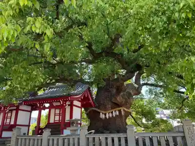 善通寺の{uncategorized: "未分類", other: "その他", undefined: "問題あり", building: "その他建物", grave: "お墓", sacred_gate: "鳥居", guardian: "狛犬", statue: "像", buddha: "仏像", history: "歴史", nature: "自然", garden: "庭園", animal: "動物", pagoda: "塔", temizu: "手水舎", mountain_gate: "山門・神門", sanctuary: "本殿・本堂", subordinate: "末社・摂社", art: "芸術", scenery: "景色", jizo: "地蔵", ema: "絵馬", goshuin: "御朱印", omikuji: "おみくじ", items: "授与品その他", amulet: "お守り", goshuincho: "御朱印帳", eats: "食事", festival: "お祭り", votive_dance: "神楽", shichigosan: "七五三参", wedding: "結婚式", experience: "体験その他", initially: "初詣", around: "周辺", anti_infection: "感染症対策"}