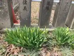 西当別神社の自然