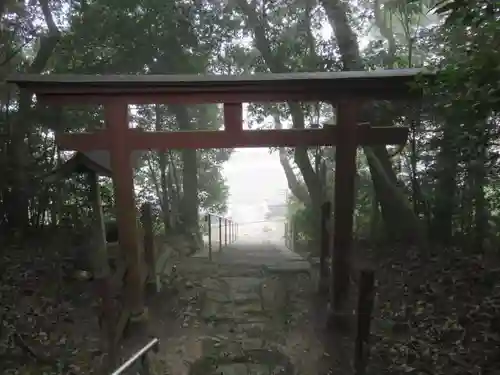 素盞鳴神社の鳥居