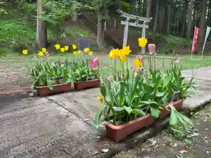 大宮温泉神社の自然(2022年05月07日(土) 13時54分28秒投稿)
