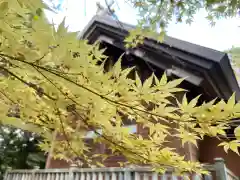 比々多神社の本殿