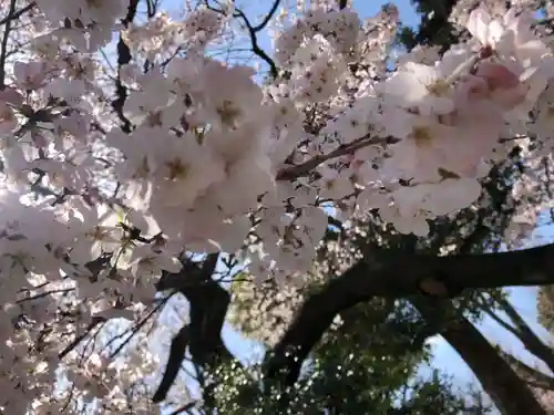 上野東照宮の自然
