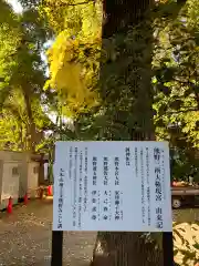 熊野神社(東京都)