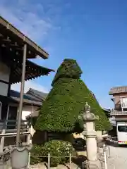 医王寺の建物その他