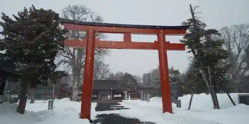 北海道護國神社の鳥居