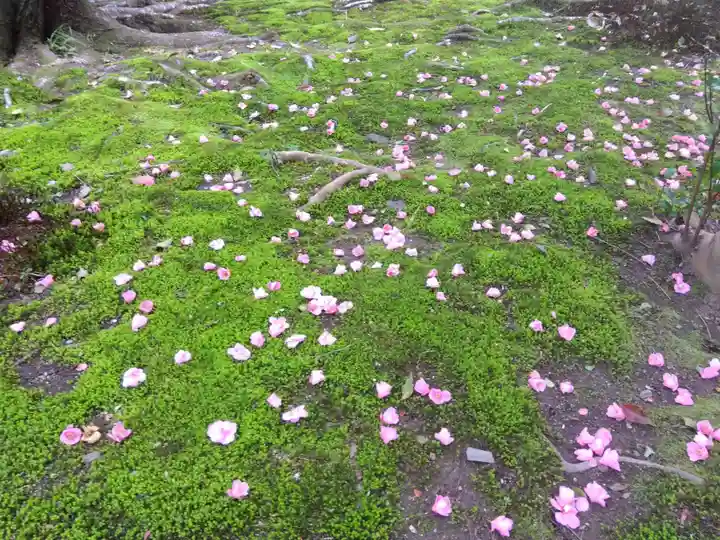 霊鑑寺門跡(京都府)