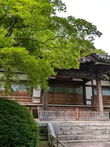 高円寺(東京都)