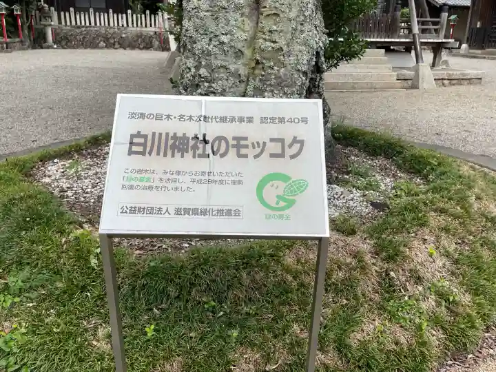 白川神社(滋賀県)