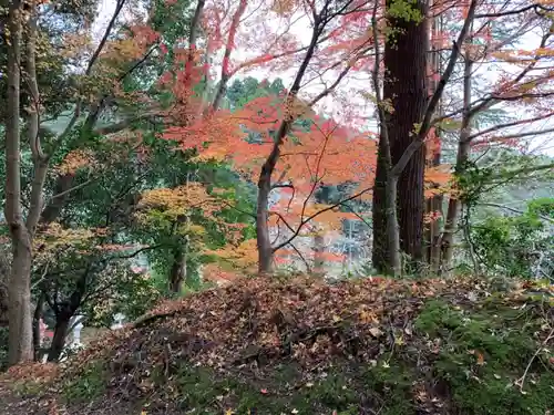 香取神宮の自然