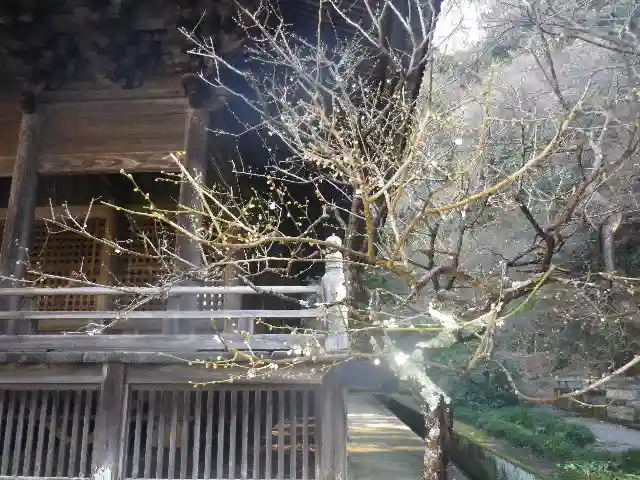 妙本寺の本殿・本堂