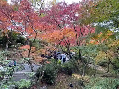 東福禅寺（東福寺）(京都府)