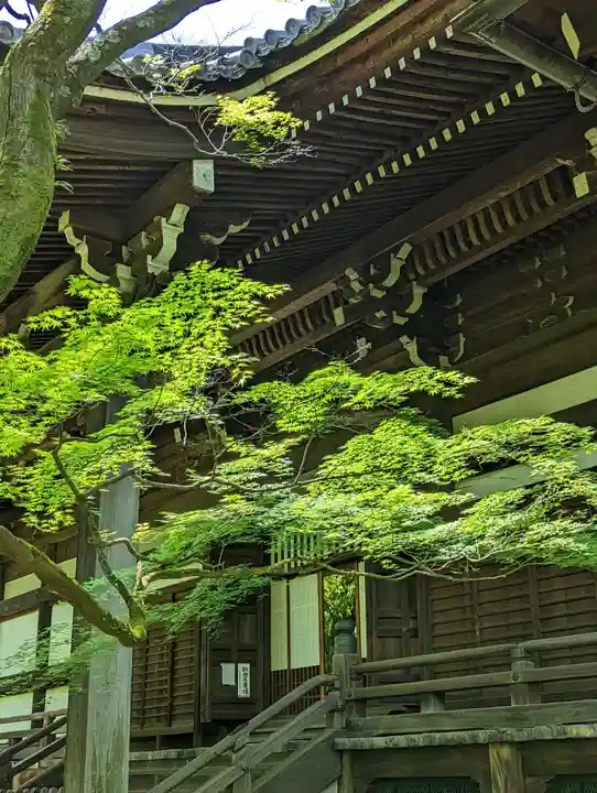 真正極楽寺(真如堂)の本殿・本堂