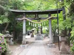 春日部八幡神社の鳥居