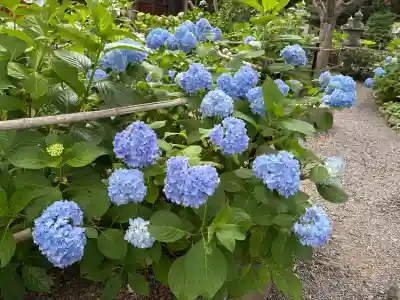 頼光寺(兵庫県)