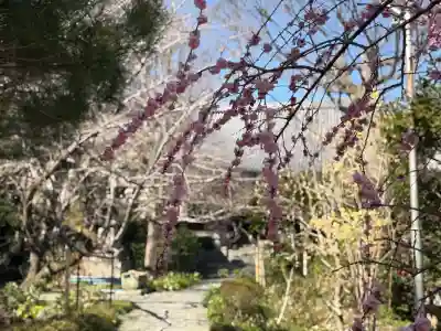 舎那院の{uncategorized: "未分類", other: "その他", undefined: "問題あり", building: "その他建物", grave: "お墓", sacred_gate: "鳥居", guardian: "狛犬", statue: "像", buddha: "仏像", history: "歴史", nature: "自然", garden: "庭園", animal: "動物", pagoda: "塔", temizu: "手水舎", mountain_gate: "山門・神門", sanctuary: "本殿・本堂", subordinate: "末社・摂社", art: "芸術", scenery: "景色", jizo: "地蔵", ema: "絵馬", goshuin: "御朱印", omikuji: "おみくじ", items: "授与品その他", amulet: "お守り", goshuincho: "御朱印帳", eats: "食事", festival: "お祭り", votive_dance: "神楽", shichigosan: "七五三参", wedding: "結婚式", experience: "体験その他", initially: "初詣", around: "周辺", anti_infection: "感染症対策"}