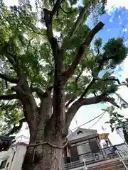 阿保神社(大阪府)