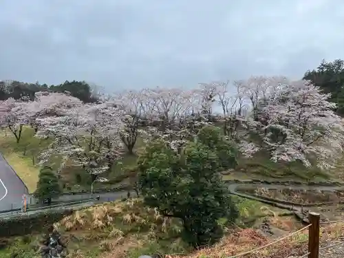 寳光寺　鹿野大佛の景色