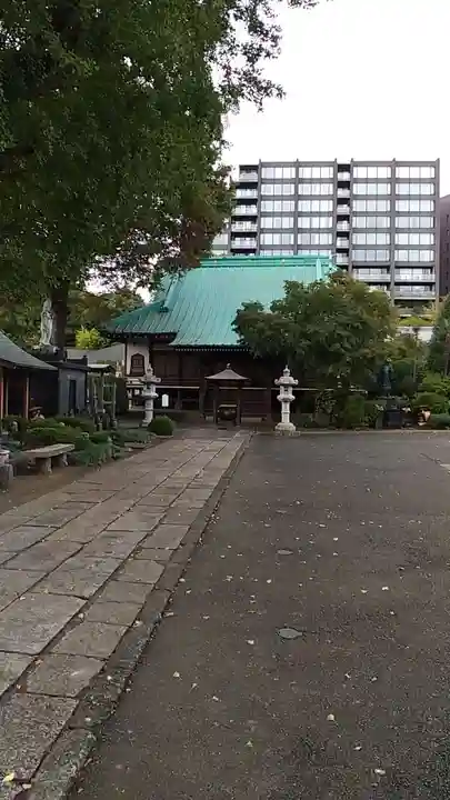 円泉寺の本殿・本堂